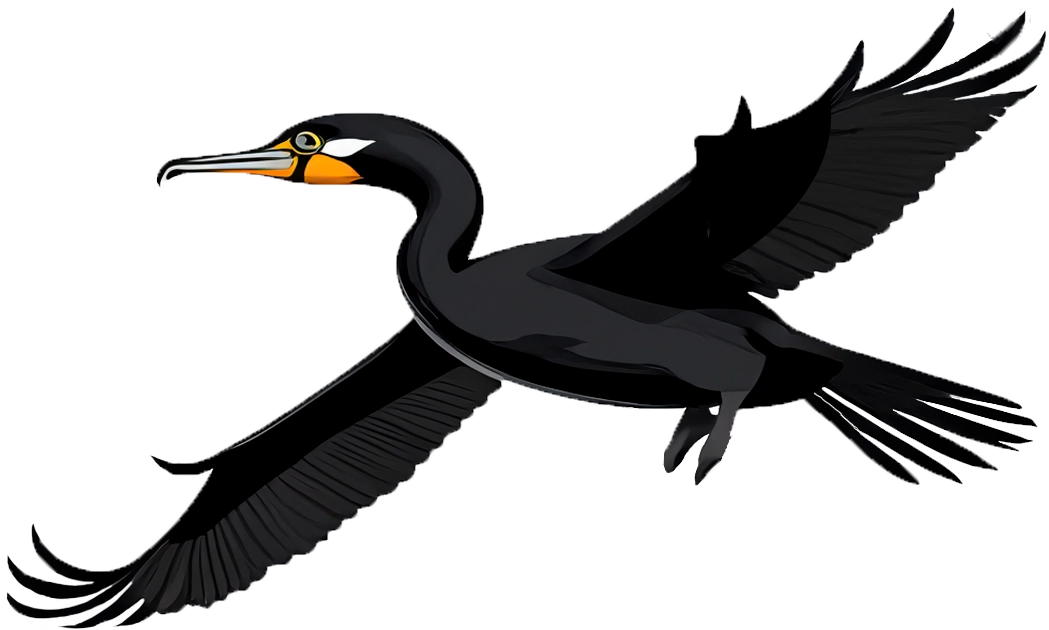 Cormorant