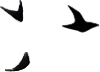 SmallBirds1