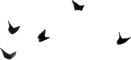 SmallBirds2